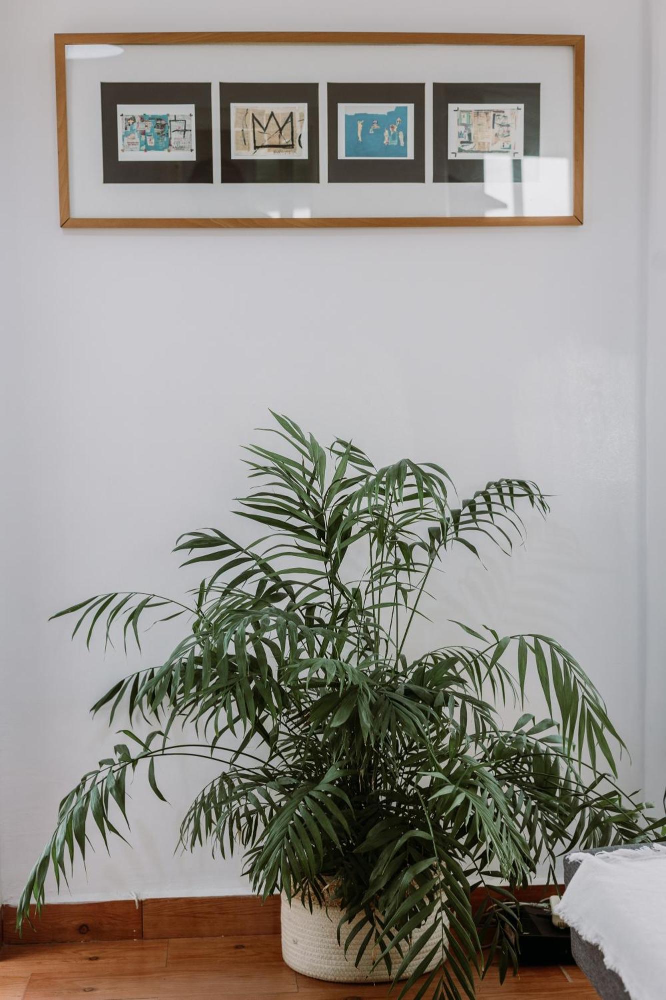 Spacious Central Apartment Σεβίλλη Εξωτερικό φωτογραφία